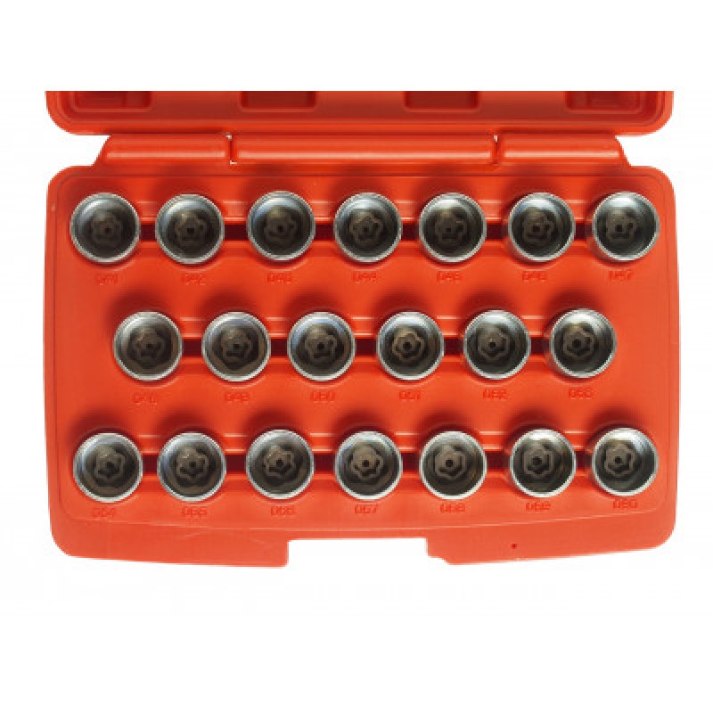 Набор головок для демонтажа секретных болтов BMW 20ед.  JTС