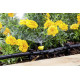 Форсунка для шланга Karcher 5шт