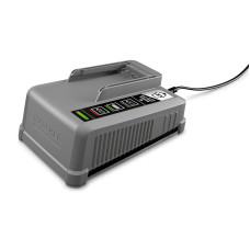 Быстрозарядное устройство Battery Power+ 18/60