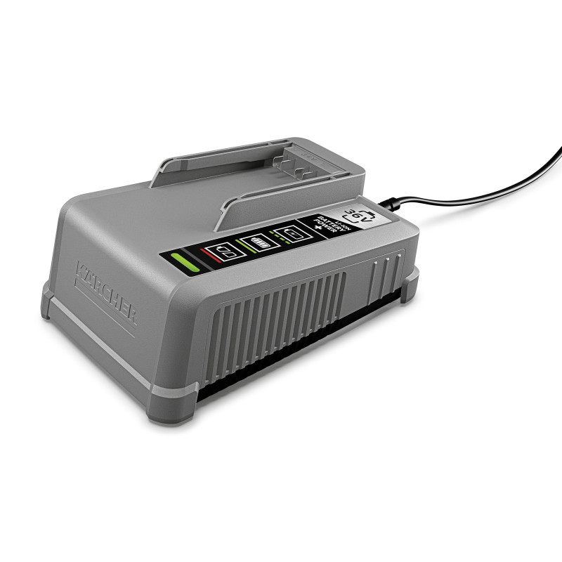 Быстрозарядное устройство Battery Power+ 36/60