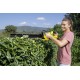 Аккумуляторный кусторез HGE 18-50
