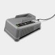Быстрозарядное устройство Battery Power+ 18/60