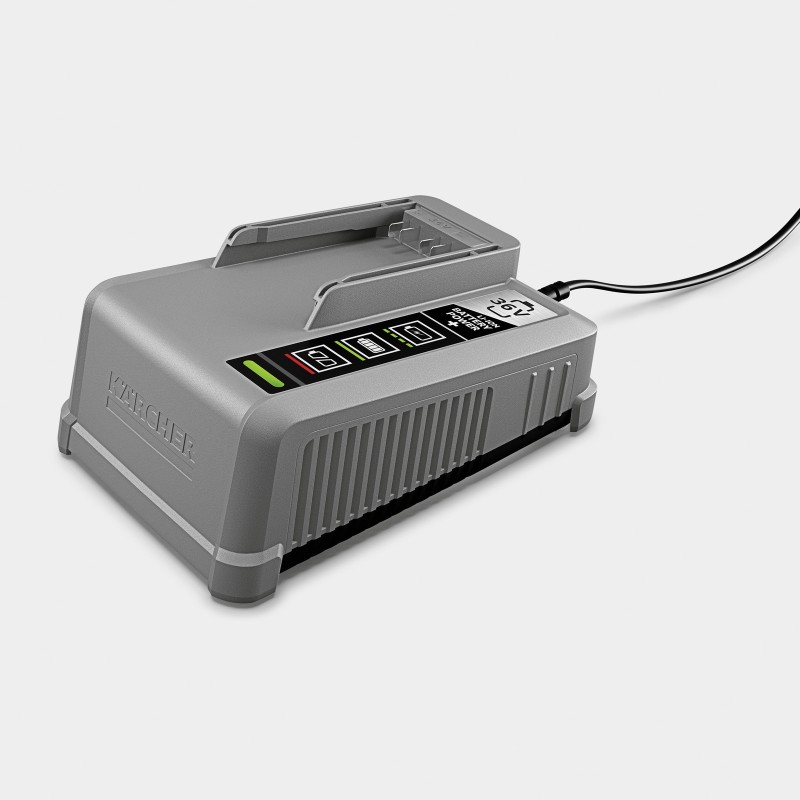 Быстрозарядное устройство Battery Power+ 36/60