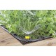 Форсунка для шлангу Karcher 5шт